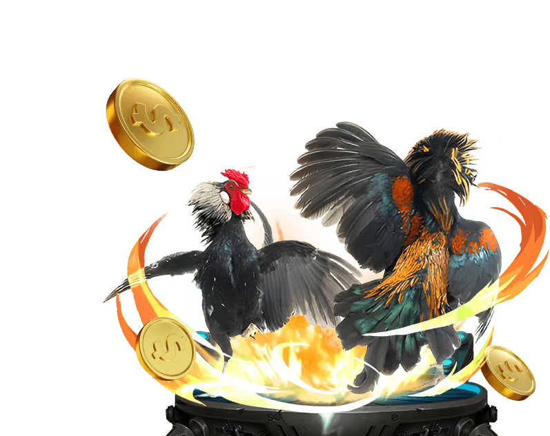 Bảo mật và công bằng tại 777king.com